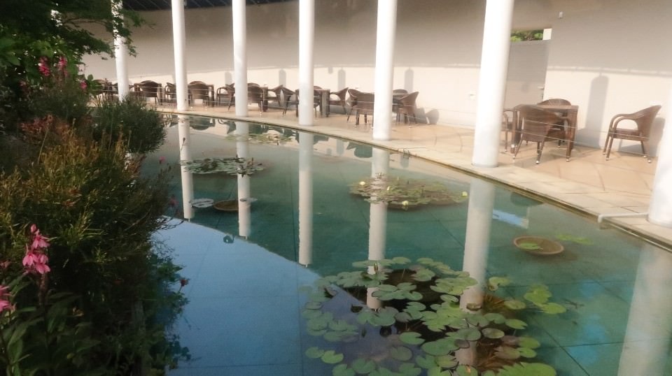 日本四國┃德島縣鳴門二日遊（百年酒造、醬油藏、大谷燒、藍染）