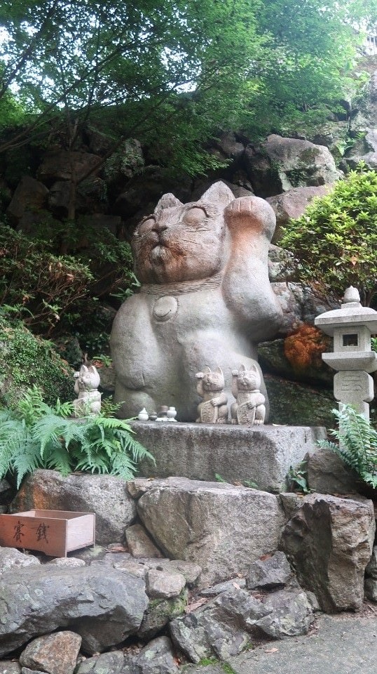 日本四國┃德島縣南部景點 阿松大權現 招財貓神社「お松大権現」商業繁榮 試驗合格 就職順利