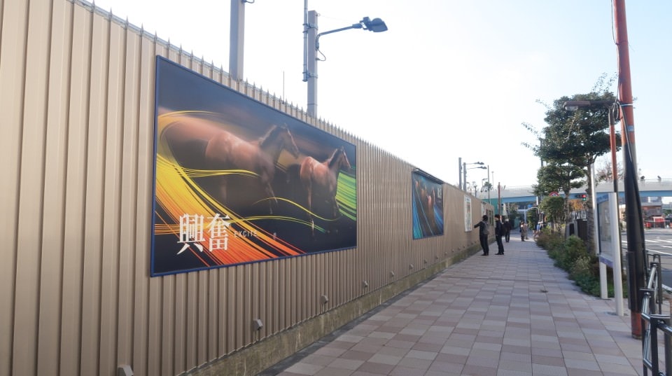 日本關東┃東京大井賽馬場 東京漏掉沒去的快去 專業訓練的馬兒就是不一樣 園區必作五大功課 大井競馬場