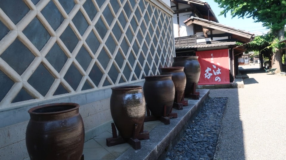 (日本關東)東京近郊新潟市區超好玩 JR新潟站前 北方博物館古代豪宅 物產館日本酒 採果採草莓(下集)
