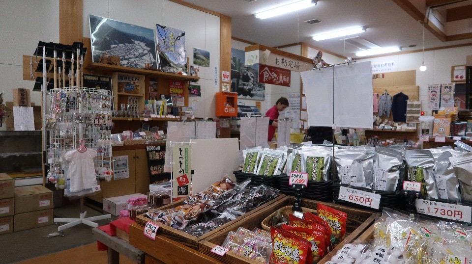 日本山陰山陽┃回到昭和時代旅遊新提案「鳥取市+若櫻町」SL鐵道迷水戶岡大師昭和號列車 鳥取砂丘 白兔神社