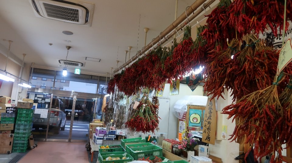 日本山陰山陽┃春櫻鳥取賞櫻 3小時2000日幣計程車 株湯咖啡 鳥取砂丘 和牛燒肉 鳥取站大買 (下集)