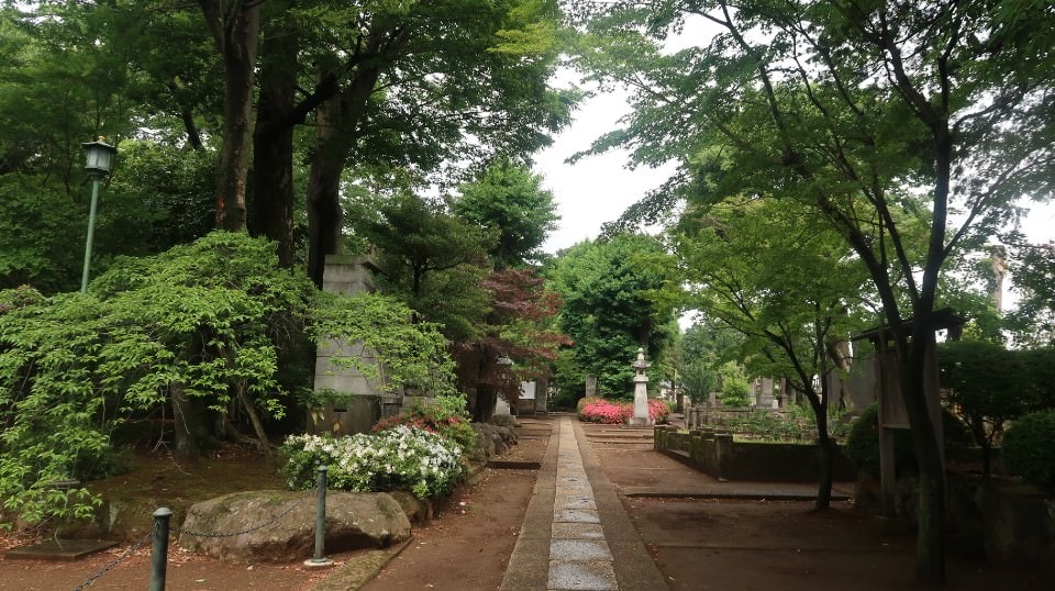 日本關東︱東京世田谷區文青散策 豪德寺遇見千隻招福貓 東京茶寮手沖日本茶 白髭泡芙工房龍貓泡芙