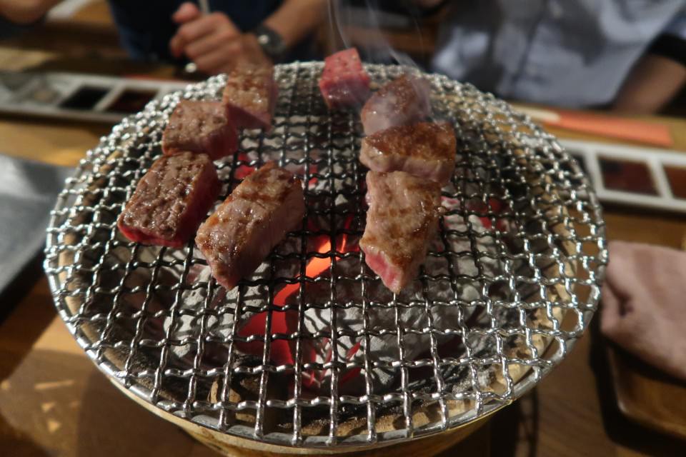 日本山陰山陽┃春櫻鳥取賞櫻 3小時2000日幣計程車 株湯咖啡 鳥取砂丘 和牛燒肉 鳥取站大買 (下集)