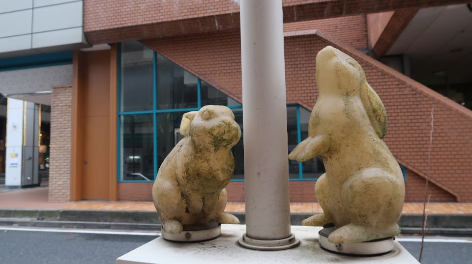 日本山陰山陽┃春櫻鳥取賞櫻 3小時2000日幣計程車 株湯咖啡 鳥取砂丘 和牛燒肉 鳥取站大買 (下集)