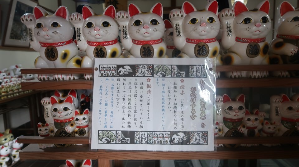 日本四國┃德島縣南部景點 阿松大權現 招財貓神社「お松大権現」商業繁榮 試驗合格 就職順利