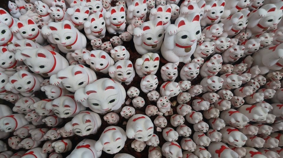 日本關東︱東京世田谷區文青散策 豪德寺遇見千隻招福貓 東京茶寮手沖日本茶 白髭泡芙工房龍貓泡芙