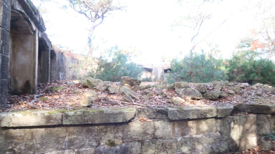 國防最前線 日本最遠的國境之島「對馬島」~最強之城金田城跡 保護石虎山貓 風景美到像假的