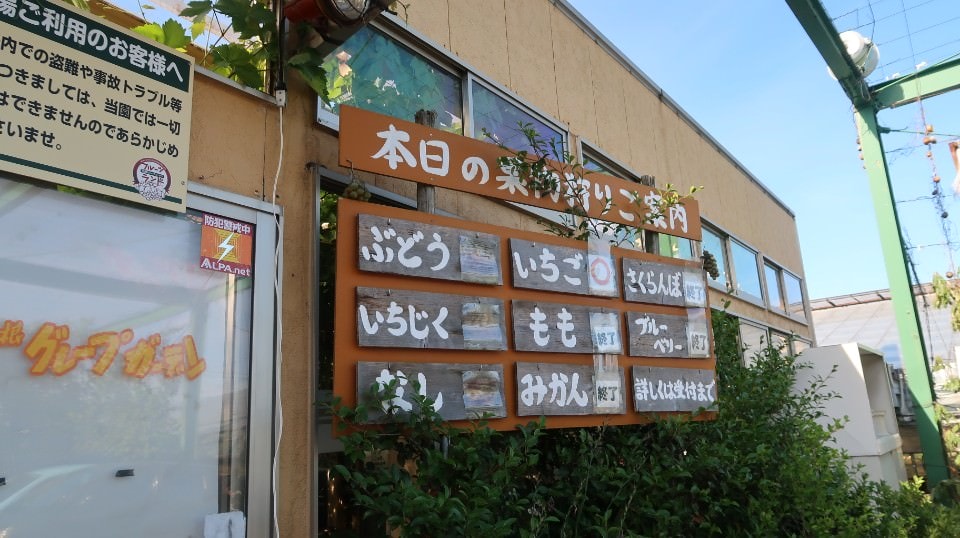 (日本關東)東京近郊新潟市區超好玩 JR新潟站前 北方博物館古代豪宅 物產館日本酒 採果採草莓(下集)