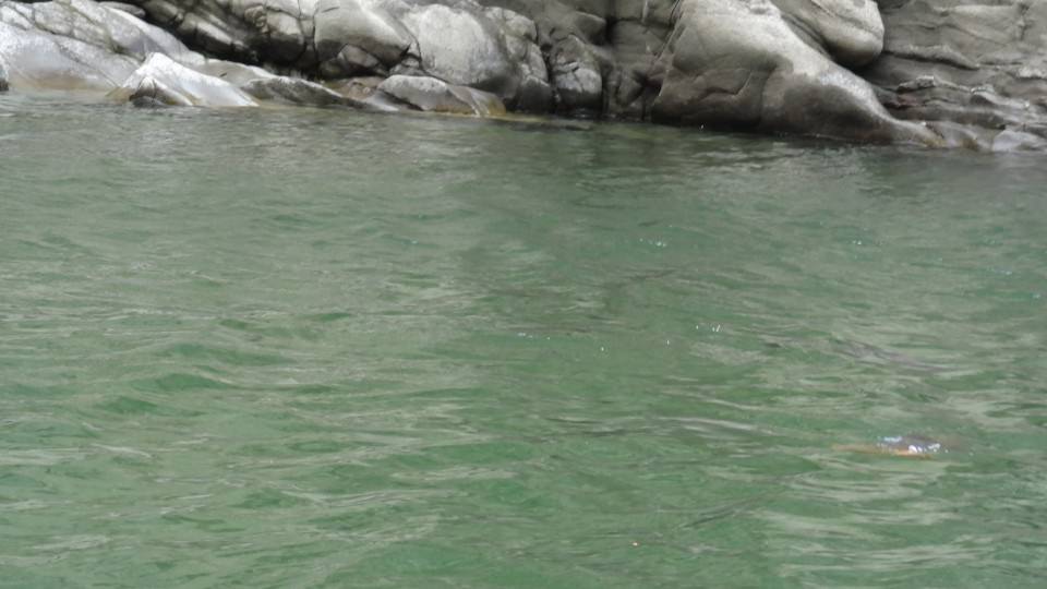 日本四國┃四國德島祖谷秘境 入住曼納卡溫泉旅館（大歩危峡まんなかホテル）大步危遊覽船JR大步危站