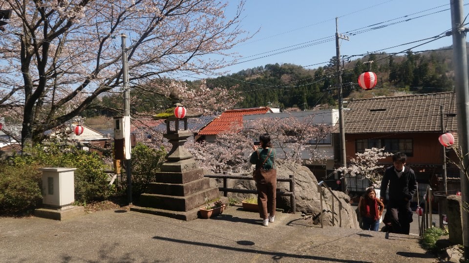 日本山陰山陽┃春櫻鳥取賞櫻 3小時2000日幣計程車 株湯咖啡 鳥取砂丘 和牛燒肉 鳥取站大買 (下集)