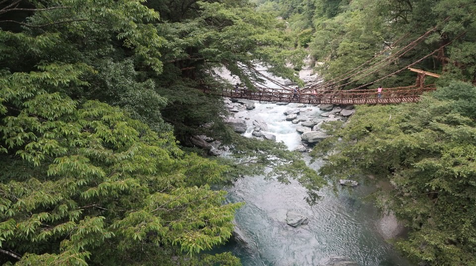 日本四國┃德島縣西部秘境祖谷+奧祖谷景點全覽 計程車包車方案 藤蔓橋 落合集落 稻草人村