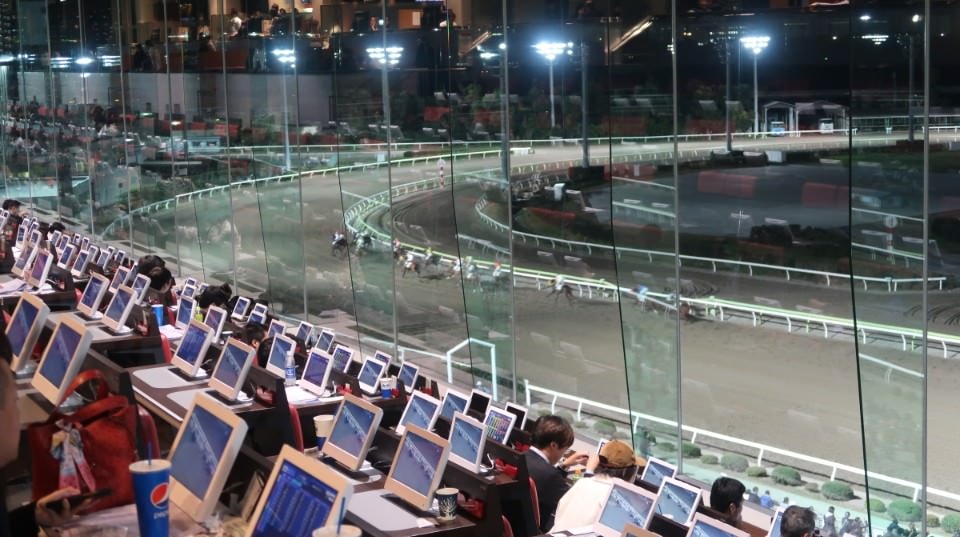 日本關東┃東京大井賽馬場 東京漏掉沒去的快去 專業訓練的馬兒就是不一樣 園區必作五大功課 大井競馬場