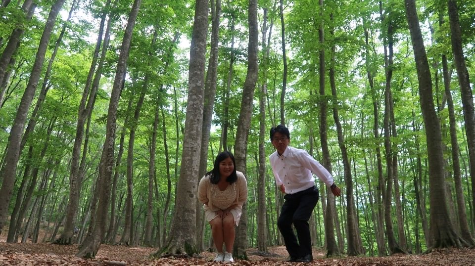 (日本關東)東京近郊走走新潟 大地藝術祭十日町清津峽 農舞台 長岡寺泊魚市 越後丘陵玫瑰園 彌彥神社