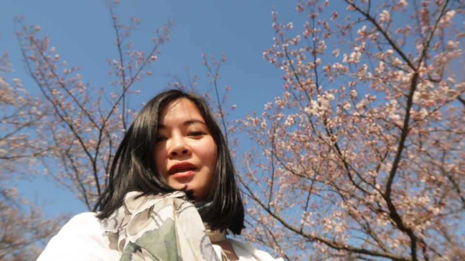 日本山陰山陽┃春櫻鳥取賞櫻 3小時2000日幣計程車 株湯咖啡 鳥取砂丘 和牛燒肉 鳥取站大買 (下集)