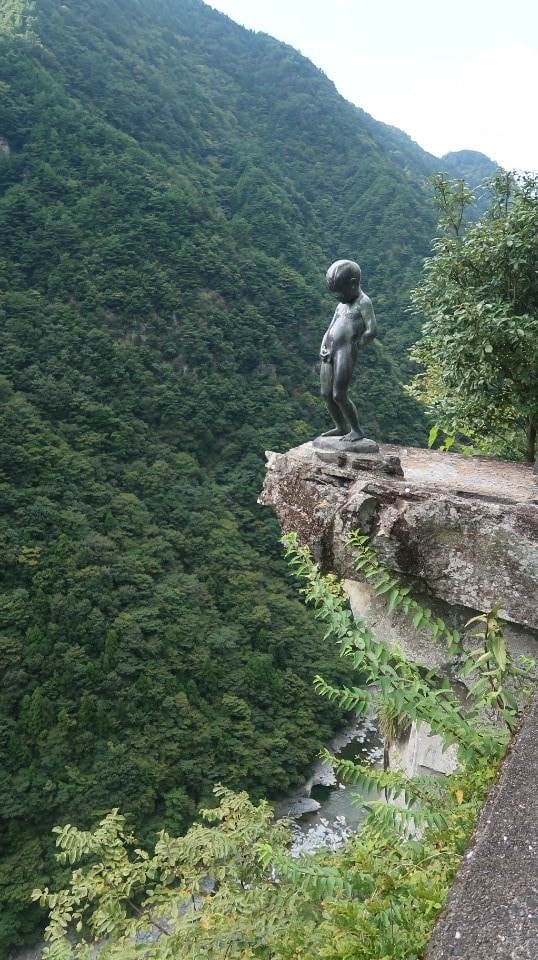 日本四國┃德島縣西部秘境祖谷+奧祖谷景點全覽 計程車包車方案 藤蔓橋 落合集落 稻草人村