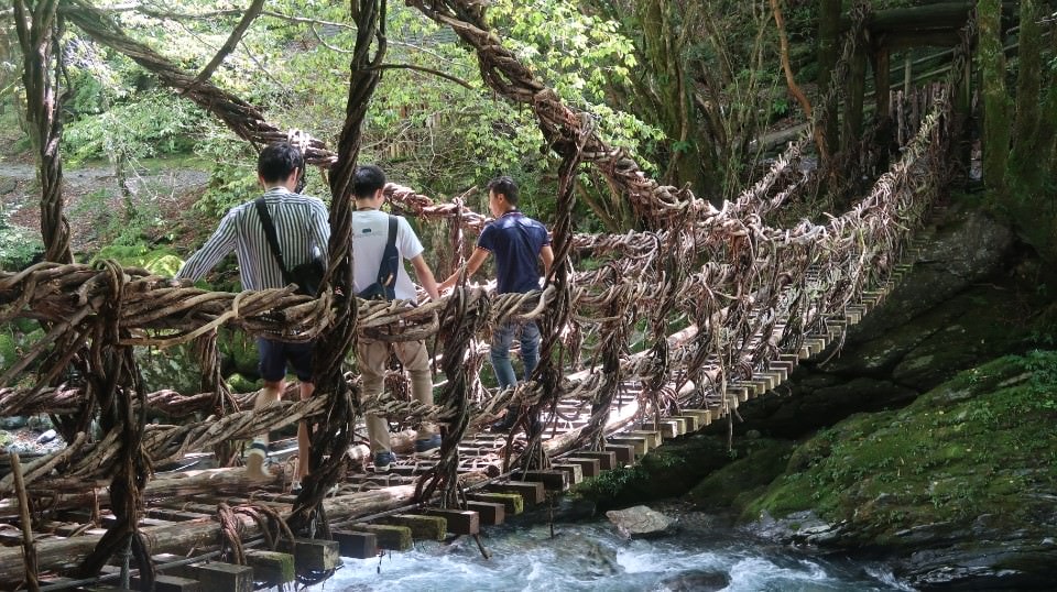 日本四國┃德島縣西部秘境祖谷+奧祖谷景點全覽 計程車包車方案 藤蔓橋 落合集落 稻草人村