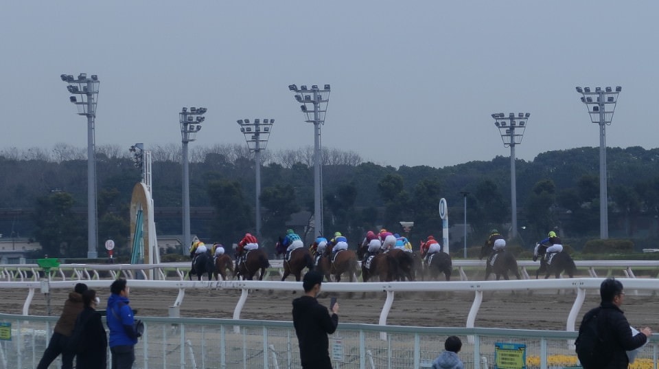 日本關東┃東京大井賽馬場 東京漏掉沒去的快去 專業訓練的馬兒就是不一樣 園區必作五大功課 大井競馬場