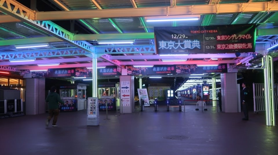 日本關東┃東京大井賽馬場 東京漏掉沒去的快去 專業訓練的馬兒就是不一樣 園區必作五大功課 大井競馬場