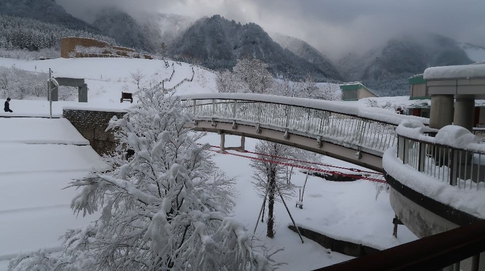 日本山陰山陽┃鳥取若櫻全筆記 昭和號八頭號SL號鐵道迷 高原冰太住宿冬玩雪夏登山 OCAT難波站巴士直達