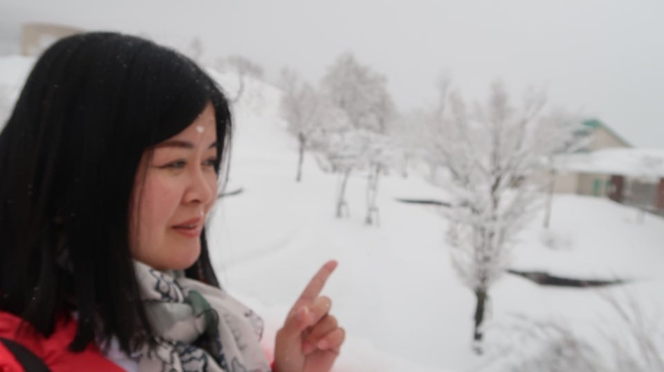 日本山陰山陽┃鳥取若櫻全筆記 昭和號八頭號SL號鐵道迷 高原冰太住宿冬玩雪夏登山 OCAT難波站巴士直達