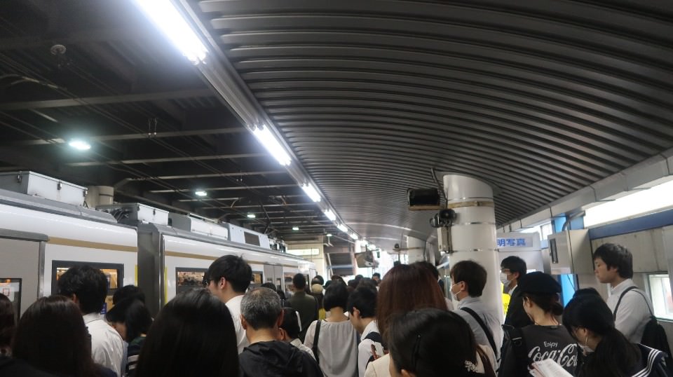 日本關東︱東京世田谷區文青散策 豪德寺遇見千隻招福貓 東京茶寮手沖日本茶 白髭泡芙工房龍貓泡芙