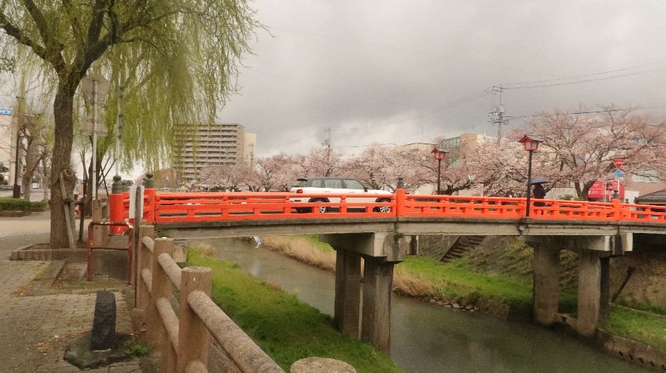 日本山陰山陽┃春櫻鳥取關西機場OCAT難波搭巴士 袋川櫻土手賞櫻 鹿野城跡蕎麥麵 鳥取城跡櫻花宿舍 (上集) - 第29張圖 日本山陰山陽┃春櫻鳥取關西機場OCAT難波搭巴士 袋川櫻土手賞櫻 鹿野城跡蕎麥麵 鳥取城跡櫻花宿舍 (上集)