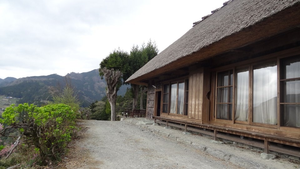 四國德島┃秘境祖谷大步危遊覽船 藤蔓橋 小便小僧觀光巴士或定額計程車包車預約