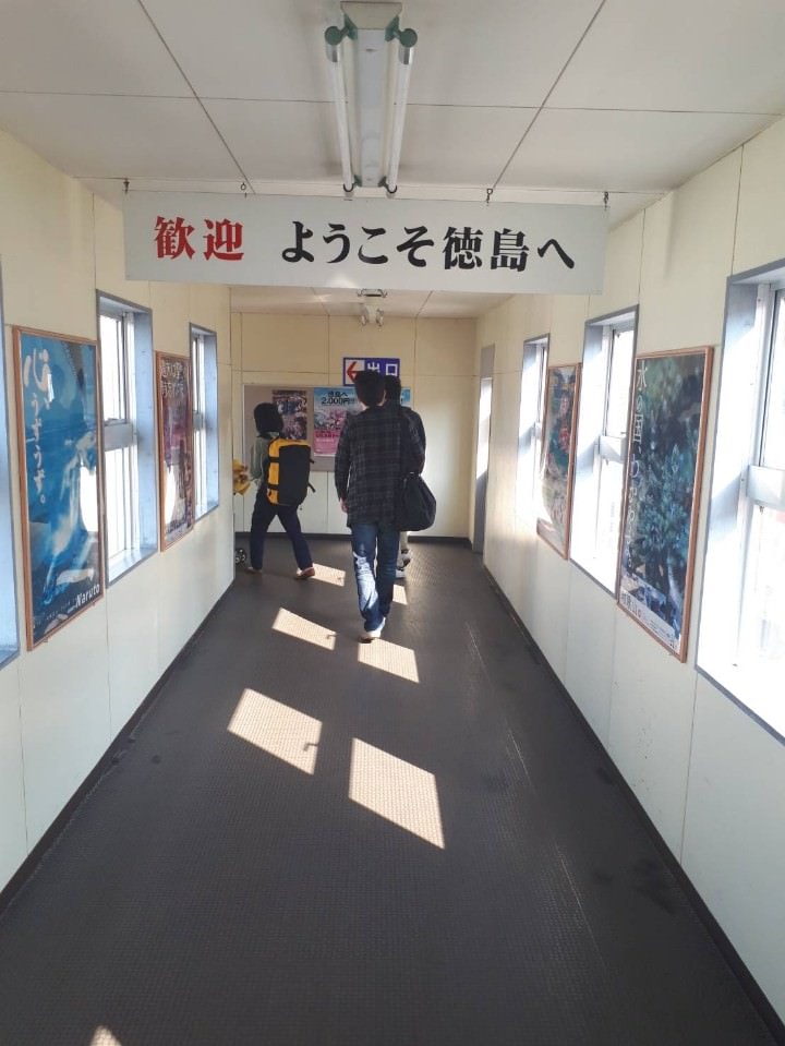 日本關西+四國┃搭南海電鐵渡輪Ferry遊關西和歌山+四國德島 超方便又省錢