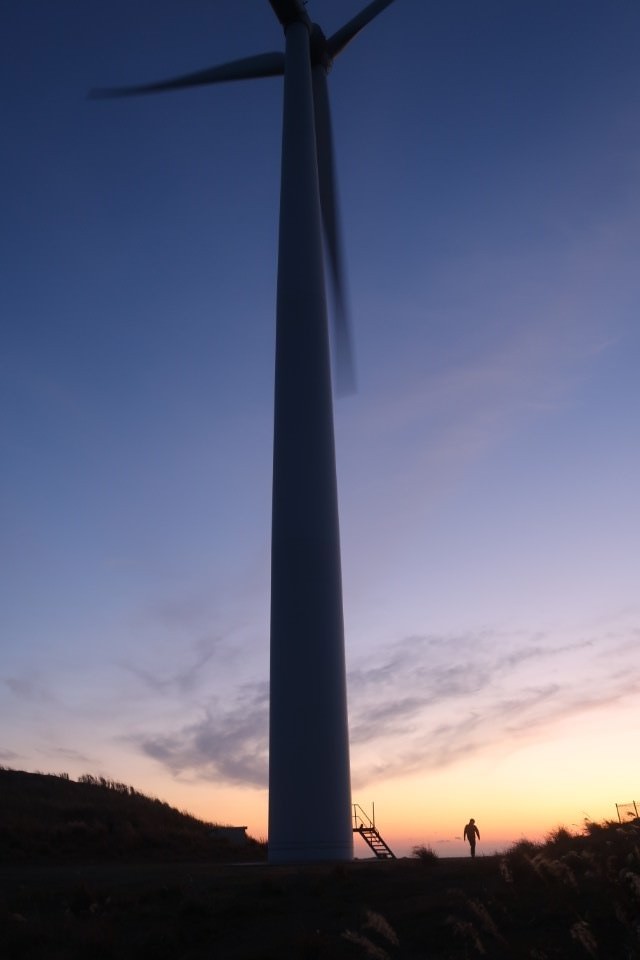 國防最前線 日本最遠的國境之島「對馬島」~最強之城金田城跡 保護石虎山貓 風景美到像假的