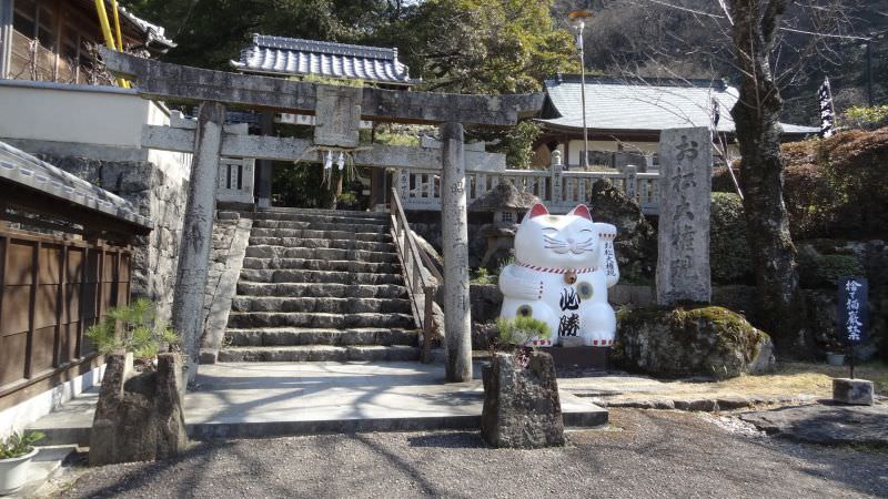 日本四國┃德島縣南部景點 阿松大權現 招財貓神社「お松大権現」商業繁榮 試驗合格 就職順利