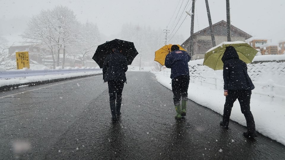 日本山陰山陽┃鳥取若櫻全筆記 昭和號八頭號SL號鐵道迷 高原冰太住宿冬玩雪夏登山 OCAT難波站巴士直達