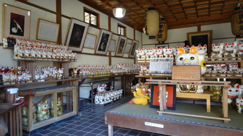 日本四國┃德島縣南部景點 阿松大權現 招財貓神社「お松大権現」商業繁榮 試驗合格 就職順利