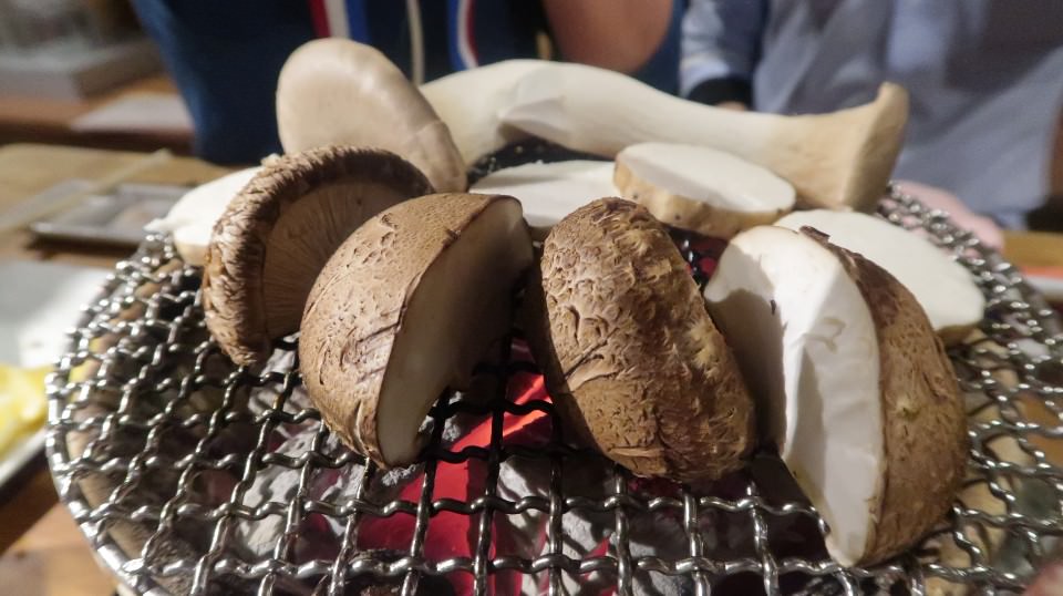 日本山陰山陽┃春櫻鳥取賞櫻 3小時2000日幣計程車 株湯咖啡 鳥取砂丘 和牛燒肉 鳥取站大買 (下集)