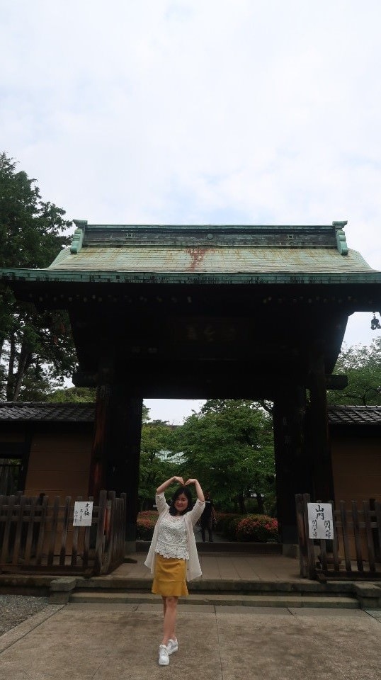 日本關東︱東京世田谷區文青散策 豪德寺遇見千隻招福貓 東京茶寮手沖日本茶 白髭泡芙工房龍貓泡芙