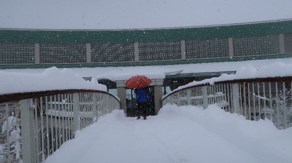日本山陰山陽┃鳥取若櫻住一晚 高原冰太住宿冬玩雪夏登山 (搭配若櫻鐵道昭和號列車 昭和玩具館)超充實