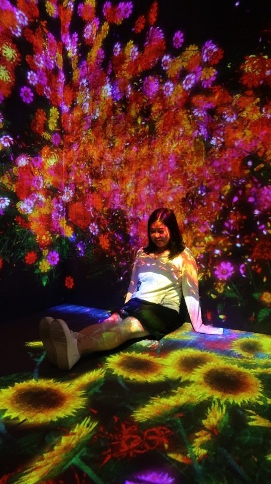 (日本關東)東京真好玩 六本木HILLS看東京鐵塔 台場數位美術館很厲害 一番街吃現炸薯條 再買個角落生物