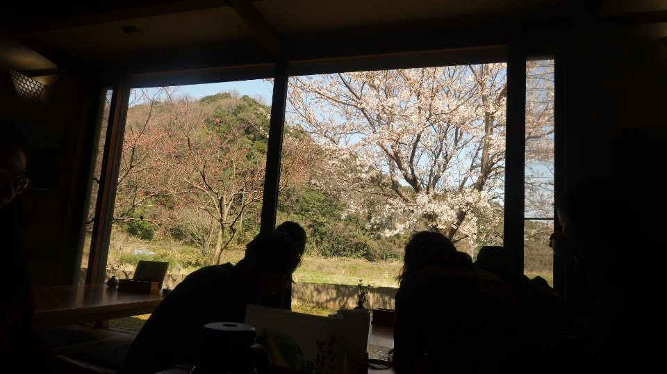 日本山陰山陽┃春櫻鳥取關西機場OCAT難波搭巴士 袋川櫻土手賞櫻 鹿野城跡蕎麥麵 鳥取城跡櫻花宿舍 (上集) - 第56張圖 日本山陰山陽┃春櫻鳥取關西機場OCAT難波搭巴士 袋川櫻土手賞櫻 鹿野城跡蕎麥麵 鳥取城跡櫻花宿舍 (上集)