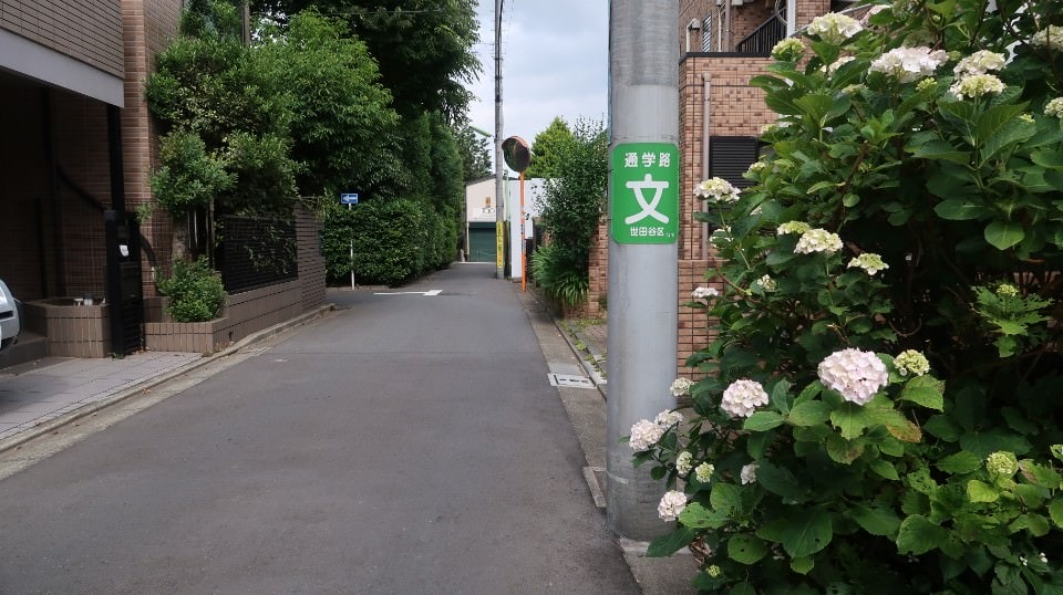 日本關東︱東京世田谷區文青散策 豪德寺遇見千隻招福貓 東京茶寮手沖日本茶 白髭泡芙工房龍貓泡芙