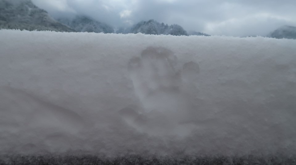 日本山陰山陽┃鳥取若櫻住一晚 高原冰太住宿冬玩雪夏登山 (搭配若櫻鐵道昭和號列車 昭和玩具館)超充實