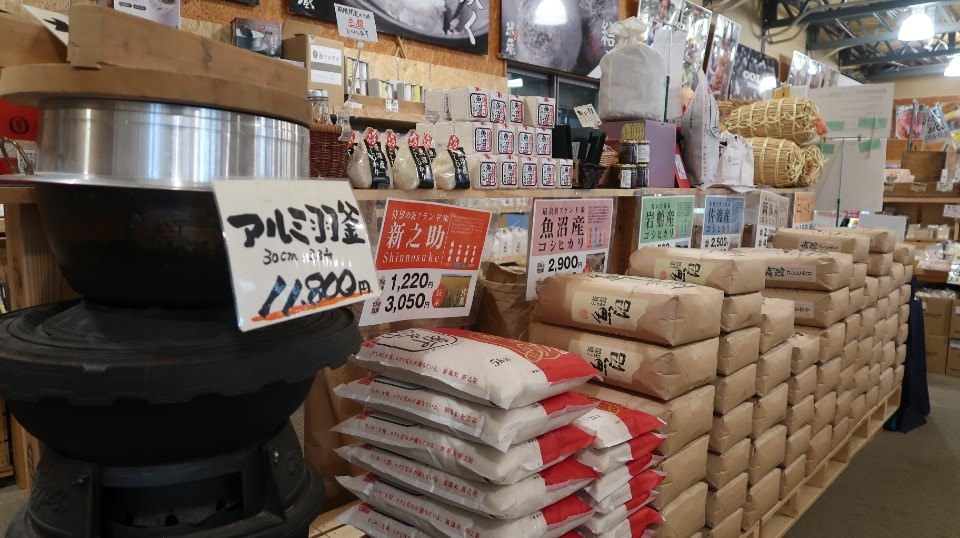 (日本關東)東京池袋搭巴士新潟市區超好玩 烤仙貝 吃豬排 酒廠見學 古時豪宅 買日本酒 採草莓(上集)