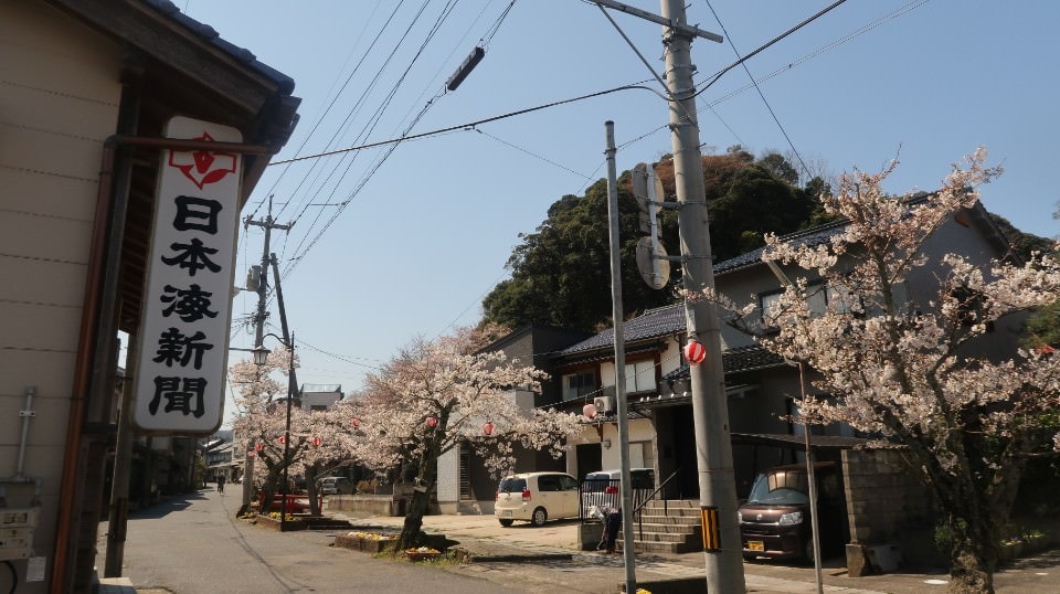 日本山陰山陽┃春櫻鳥取賞櫻 3小時2000日幣計程車 株湯咖啡 鳥取砂丘 和牛燒肉 鳥取站大買 (下集)