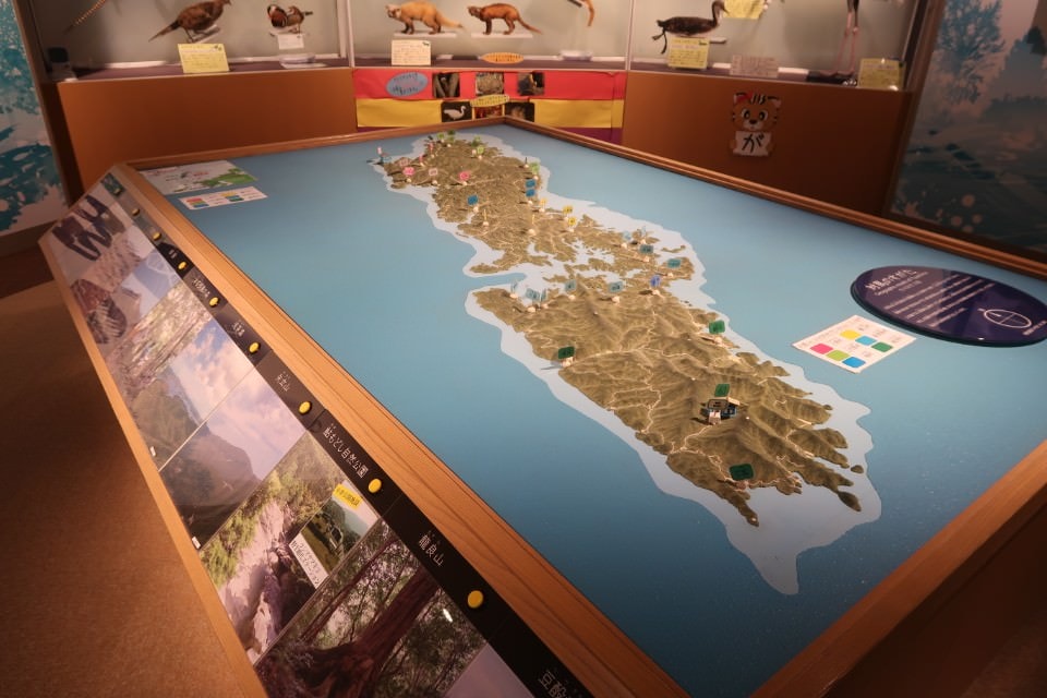 國防最前線 日本最遠的國境之島「對馬島」~最強之城金田城跡 保護石虎山貓 風景美到像假的