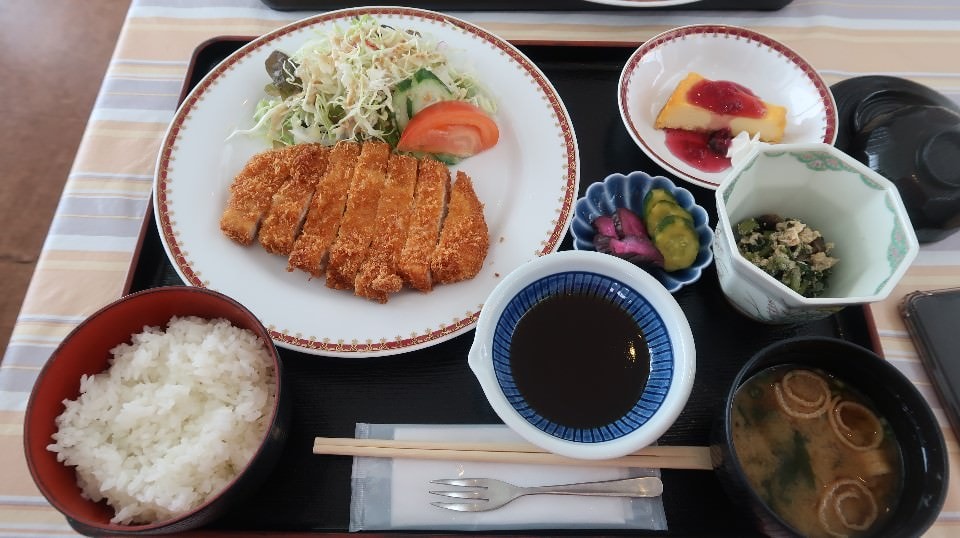 日本山陰山陽┃鳥取若櫻住一晚 高原冰太住宿冬玩雪夏登山 (搭配若櫻鐵道昭和號列車 昭和玩具館)超充實
