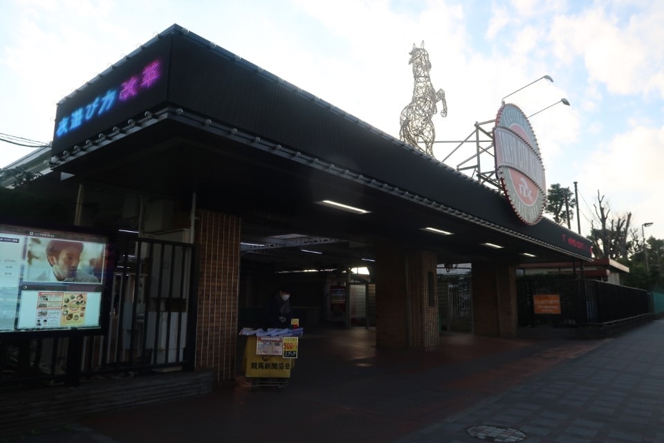 日本關東┃東京大井賽馬場 東京漏掉沒去的快去 專業訓練的馬兒就是不一樣 園區必作五大功課 大井競馬場