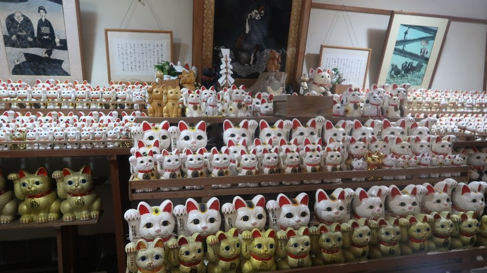 日本四國┃德島縣南部景點 阿松大權現 招財貓神社「お松大権現」商業繁榮 試驗合格 就職順利