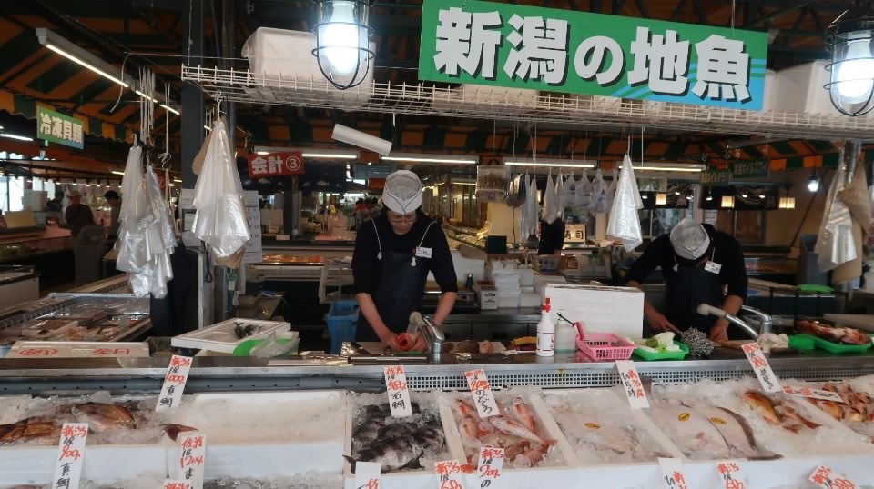 (日本關東)東京池袋搭巴士新潟市區超好玩 烤仙貝 吃豬排 酒廠見學 古時豪宅 買日本酒 採草莓(上集)