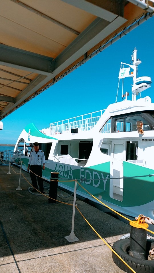 日本四國┃德島縣二日巴士券（BAS PASS）交通省很大(任選二日使用)鳴門漩渦、小矽谷神山町