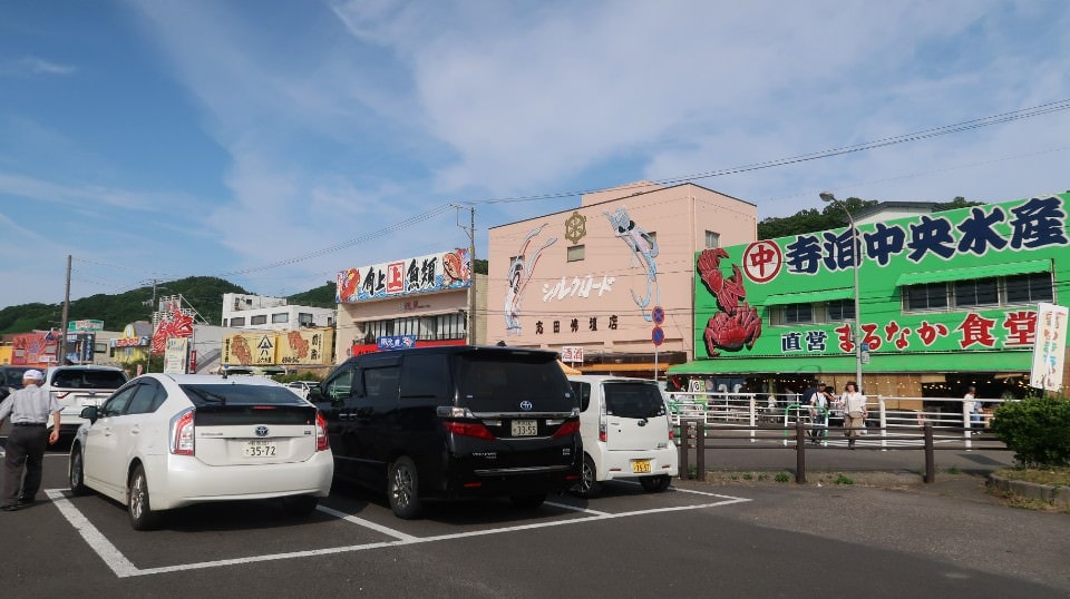 (日本關東)東京近郊走走新潟 大地藝術祭十日町清津峽 農舞台 長岡寺泊魚市 越後丘陵玫瑰園 彌彥神社