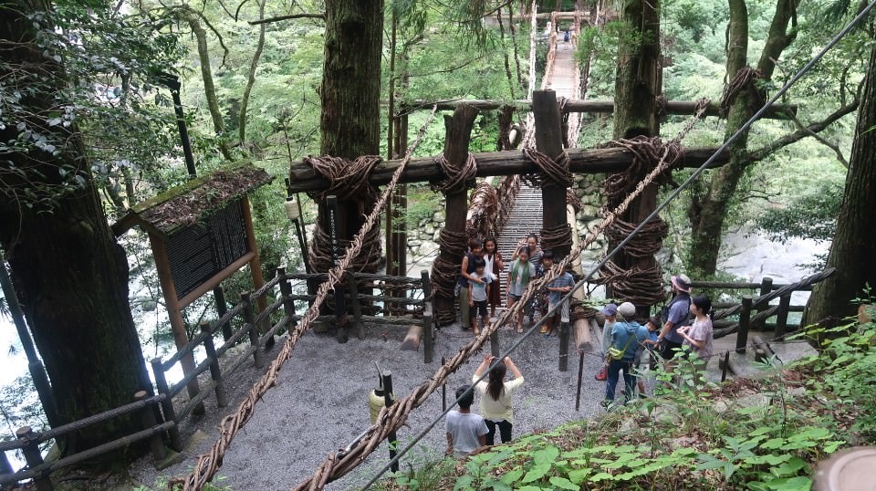 日本四國┃德島縣西部秘境祖谷+奧祖谷景點全覽 計程車包車方案 藤蔓橋 落合集落 稻草人村